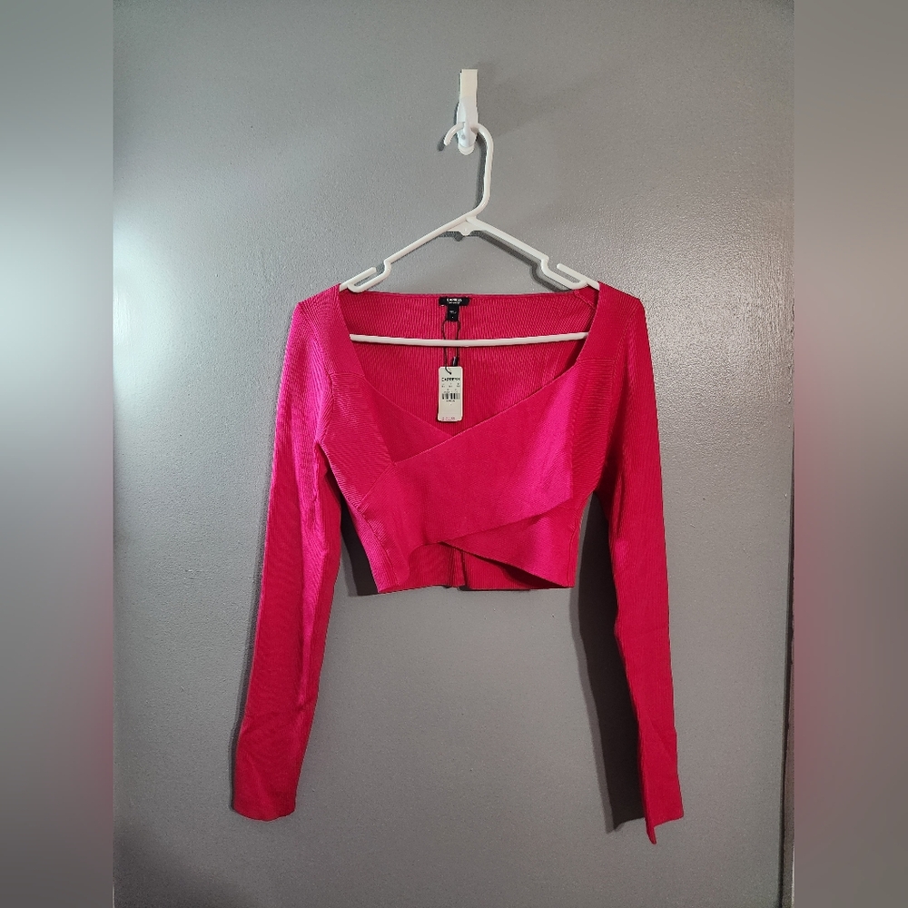 Express Fuchsia Long Sleeve Crop Top